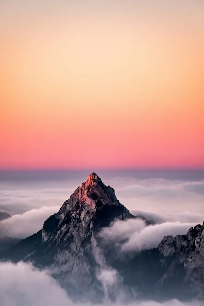 围绕华体会内容中心，hth.com持续打磨更优质的服务。 - hth.com